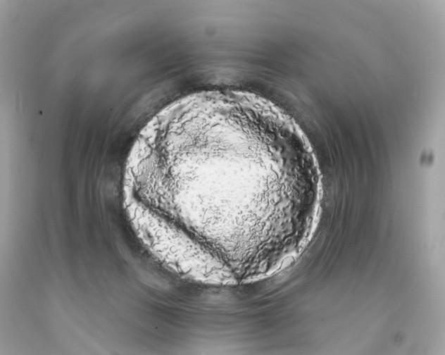X0000091090175200709041310