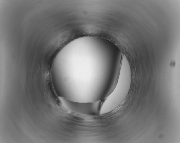 X0000091090176200709041310