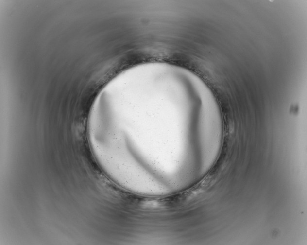 X0000091090177200709041310