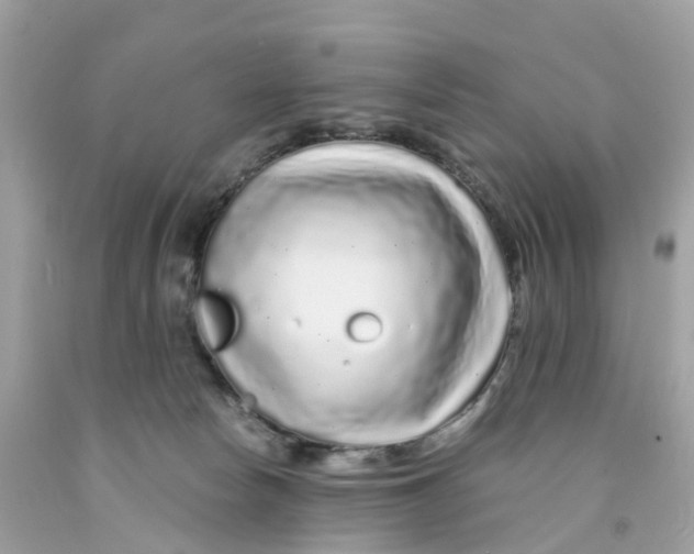 X0000091090178200709041310