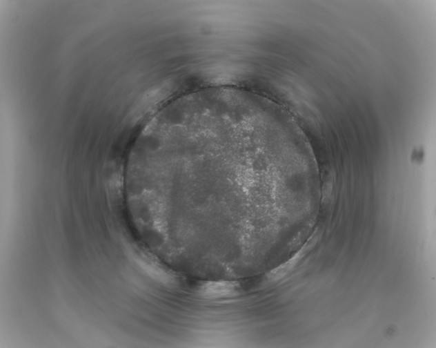 X0000091090179200709041310