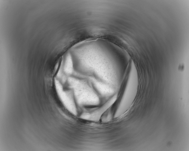 X0000091090180200709041310