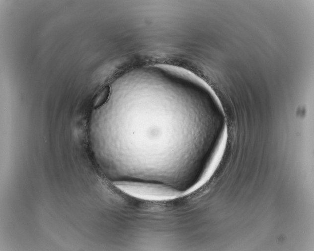 X0000091090181200709041310