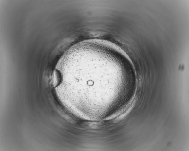X0000091090182200709041310