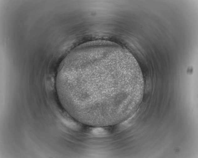 X0000091090183200709041310