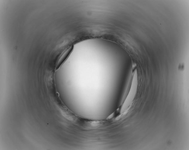 X0000091090184200709041310