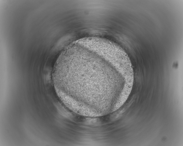 X0000091090185200709041310