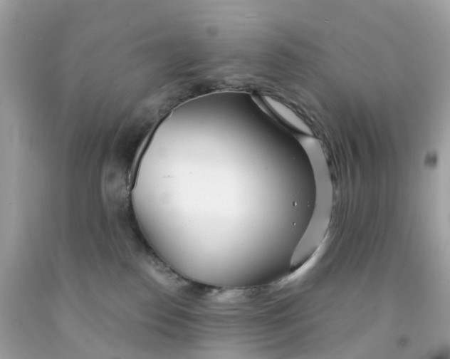 X0000091090186200709041310