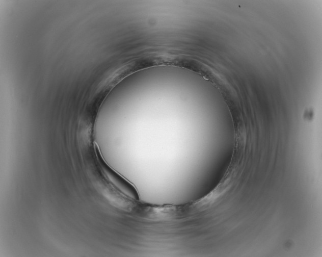 X0000091090188200709041310