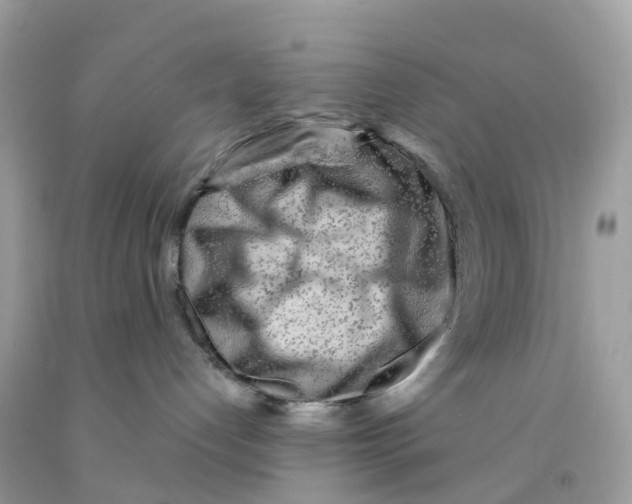 X0000091090192200709041310