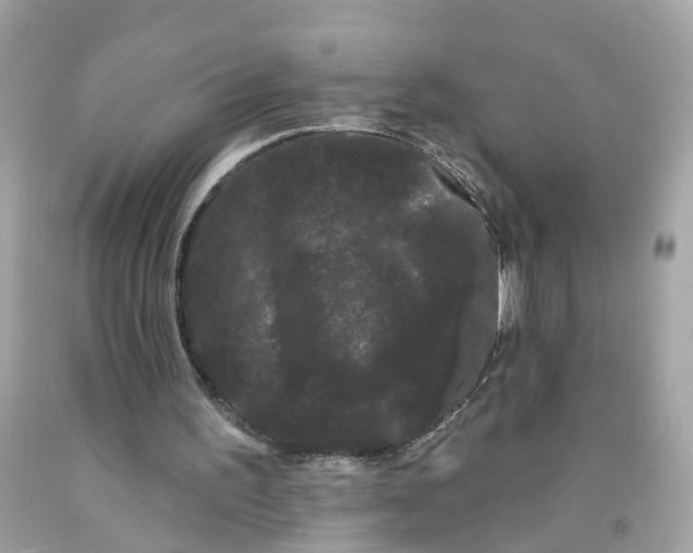 X0000091090195200709041309