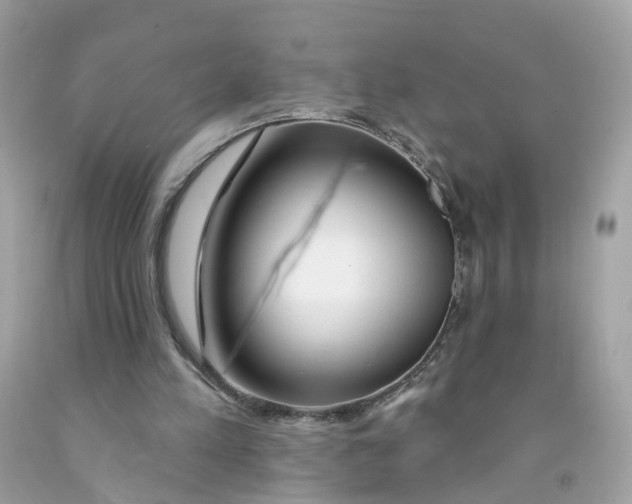 X0000091090197200709041309