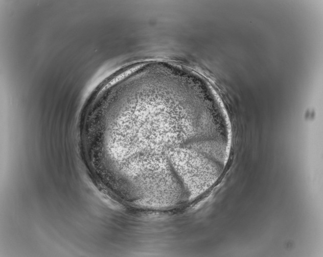 X0000091090198200709041309