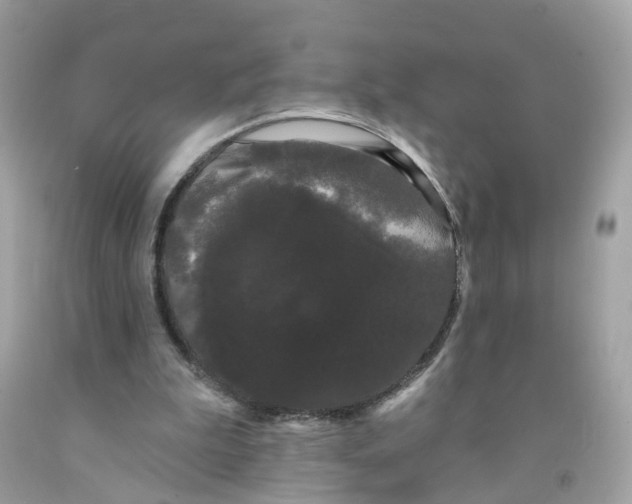 X0000091090199200709041309