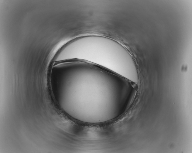 X0000091090200200709041309