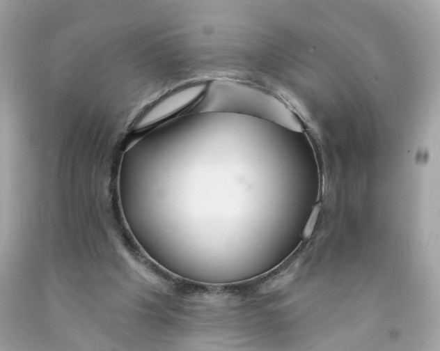 X0000091090201200709041309