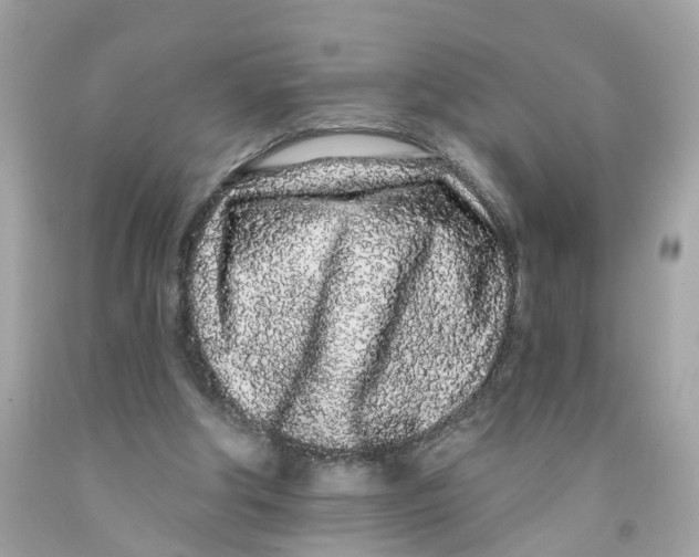 X0000091090202200709041309