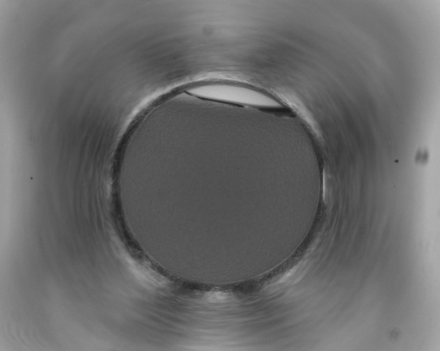 X0000091090204200709041309