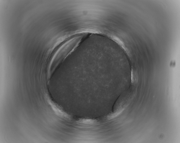 X0000091090205200709041309