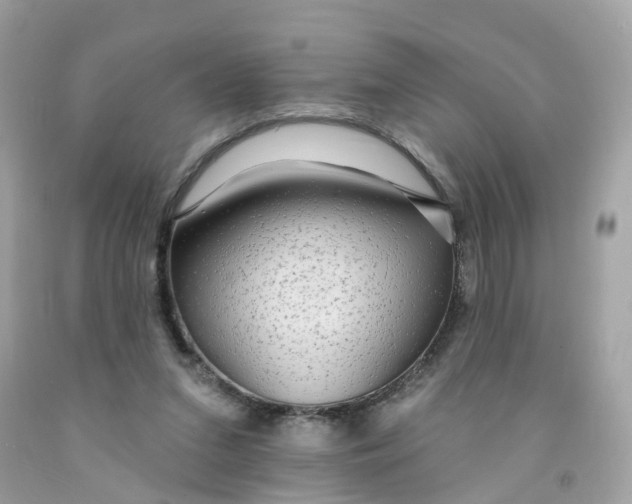 X0000091090207200709041309