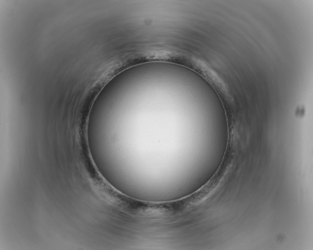 X0000091090209200709041309