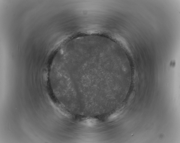 X0000091090210200709041309