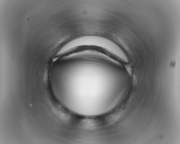 X0000091090211200709041309