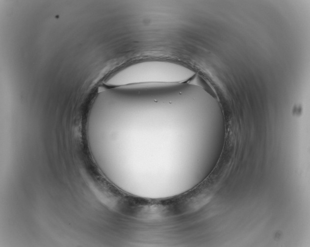 X0000091090212200709041309