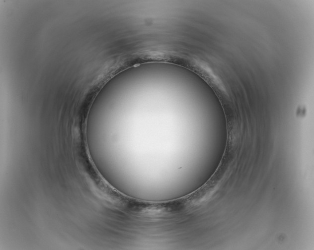 X0000091090213200709041309