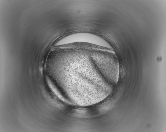 X0000091090214200709041309