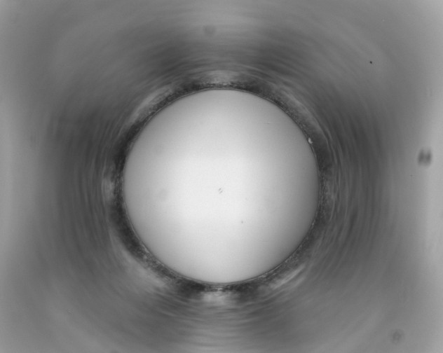 X0000091090216200709041309
