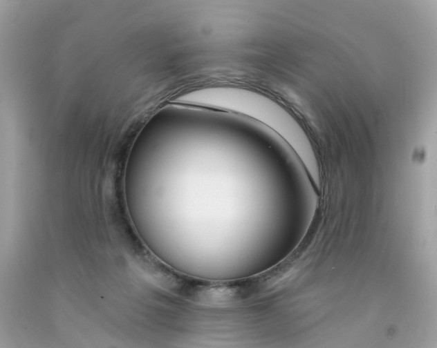 X0000091090217200709041309
