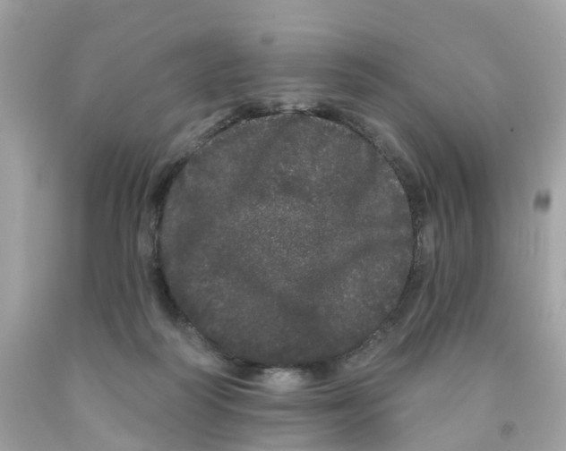 X0000091090218200709041309