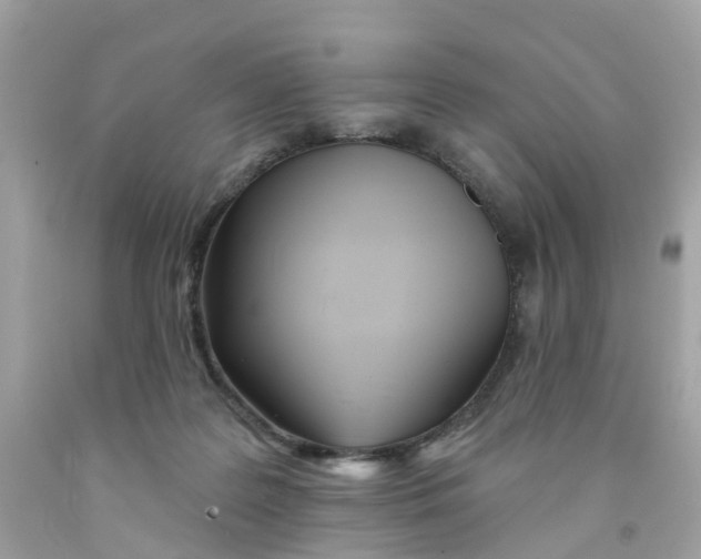 X0000091090219200709041309