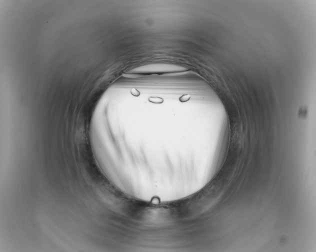 X0000091090220200709041309