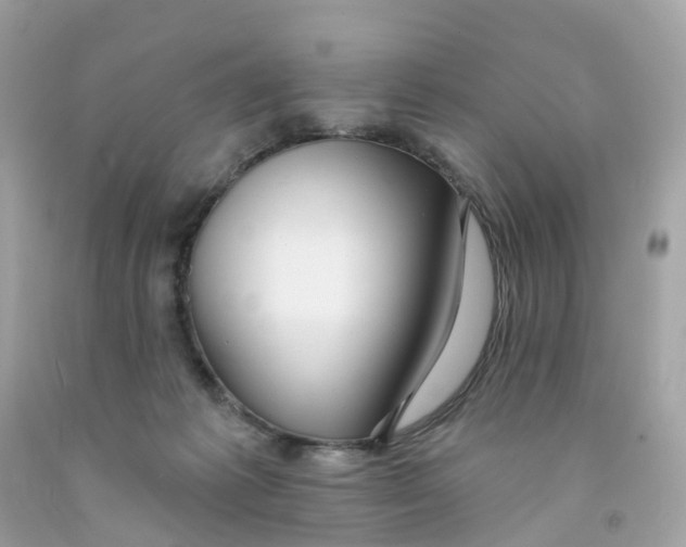 X0000091090221200709041309