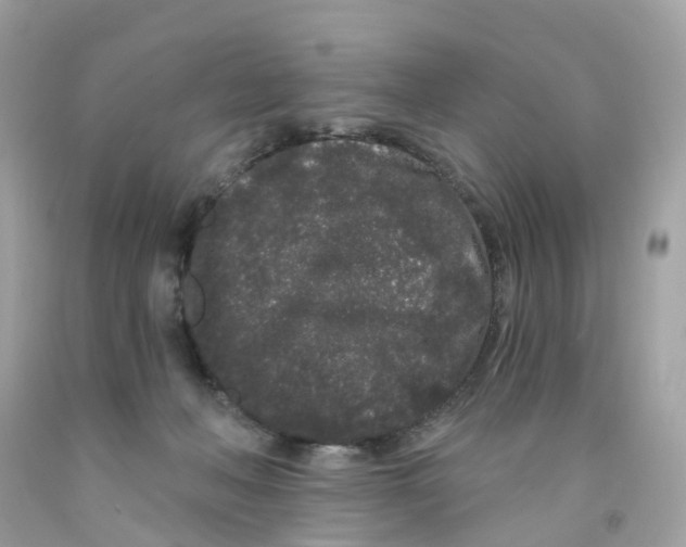 X0000091090222200709041309