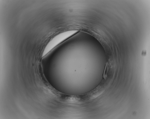 X0000091090223200709041309