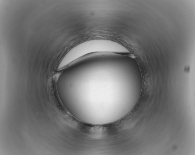 X0000091090225200709041309