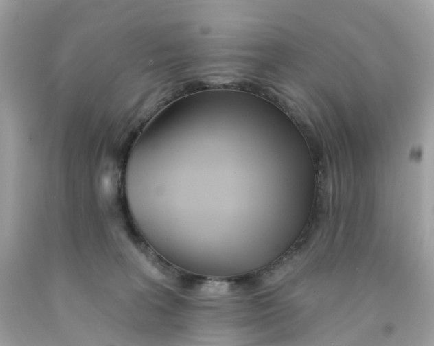 X0000091090227200709041309
