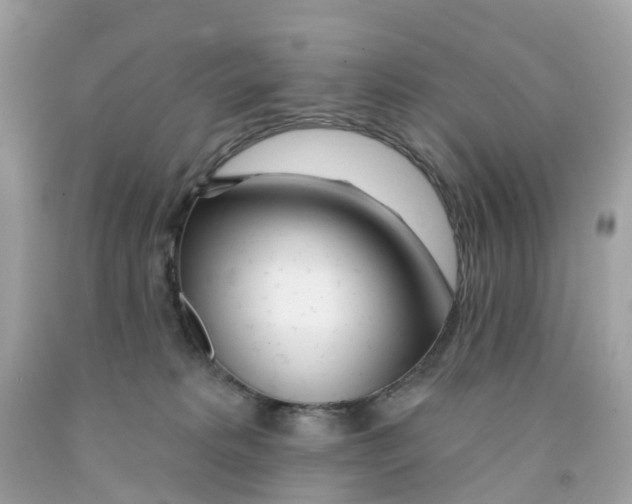 X0000091090229200709041309