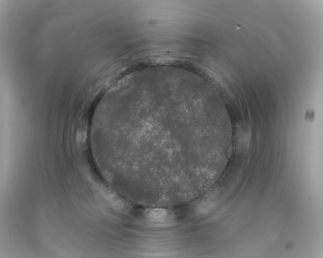 X0000091090230200709041309
