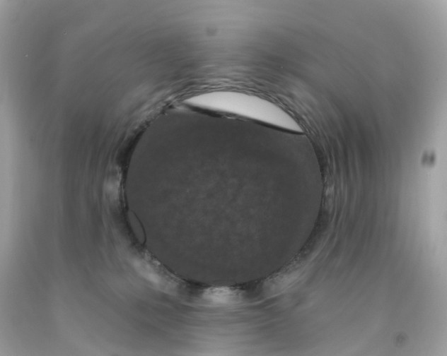 X0000091090231200709041309