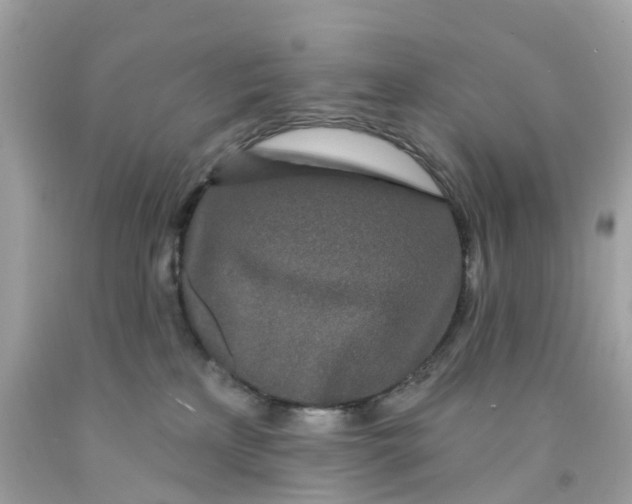 X0000091090233200709041309