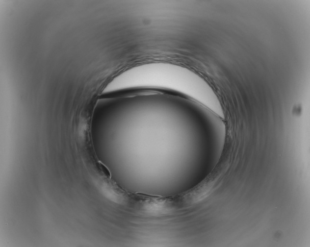 X0000091090235200709041309