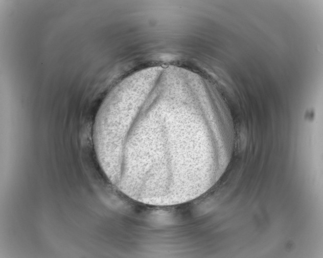 X0000091090236200709041309