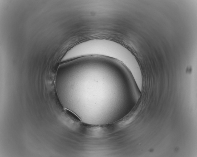 X0000091090237200709041309