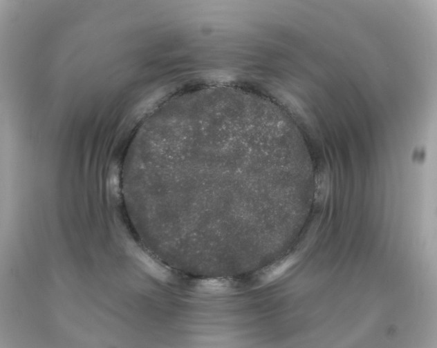 X0000091090238200709041309