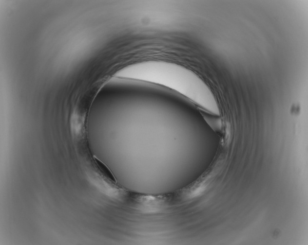 X0000091090239200709041309