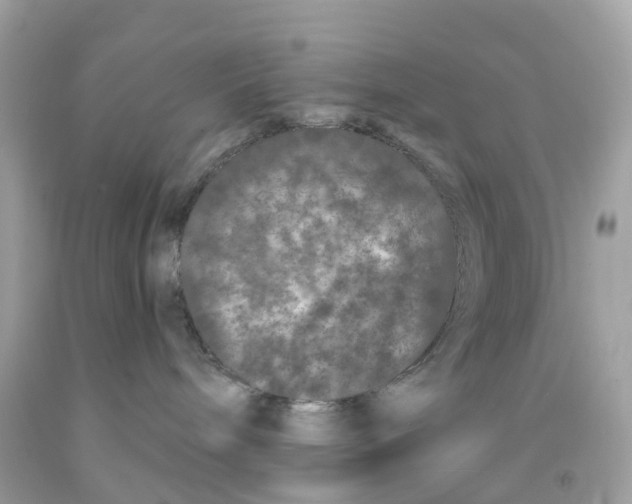 X0000091090240200709041309